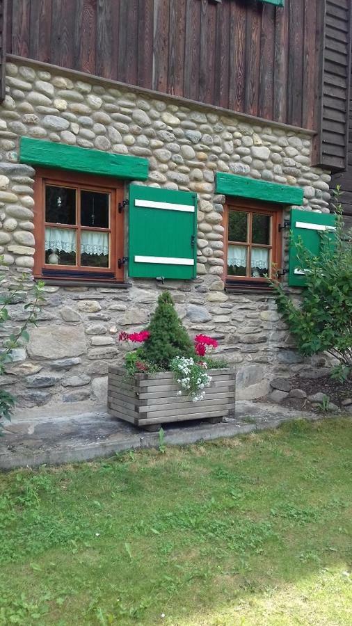 Almwiese Apartment Stadl an der Mur Exterior photo